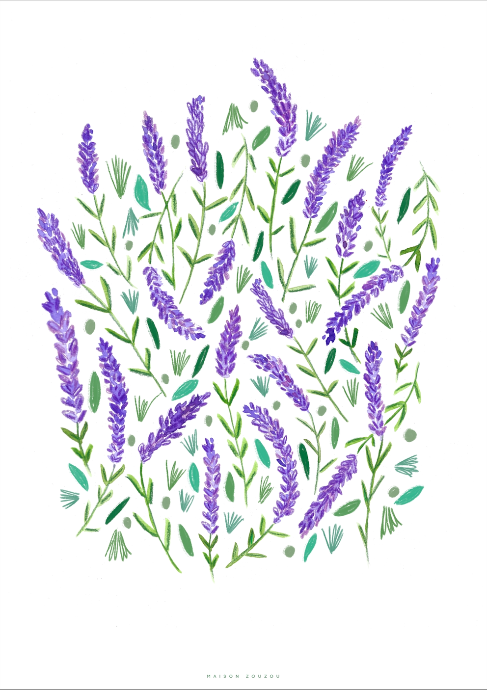 Illustration *Lavender*