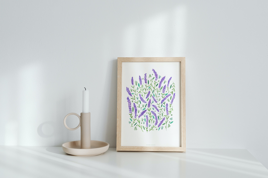Illustration *Lavande*