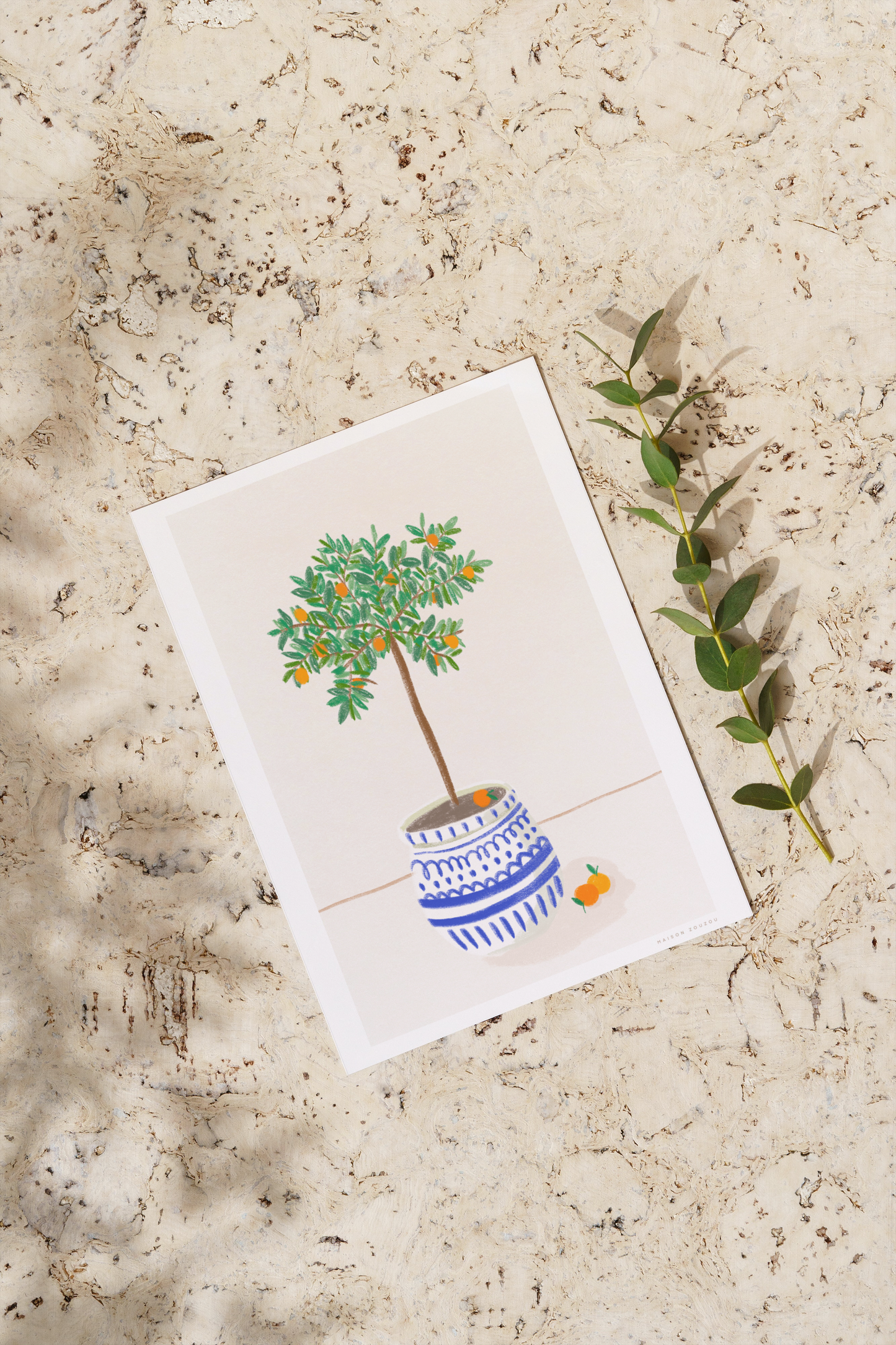 Illustration *Oranger*